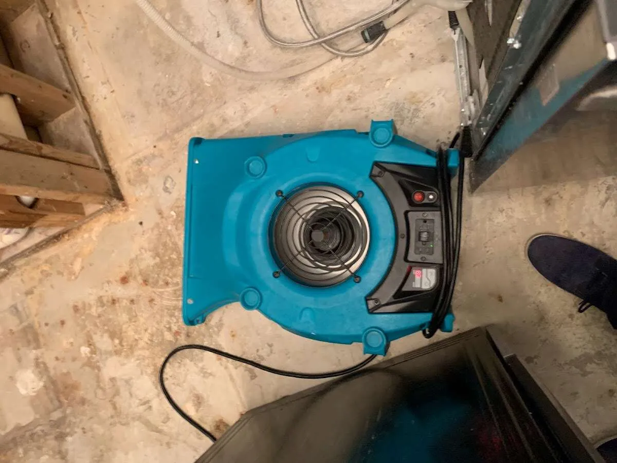 Air mover drying equipment for Mold Remediation & Removal in Naples Manor